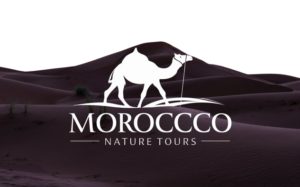 Morocco Nature Tours